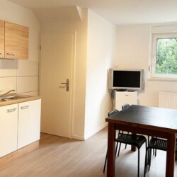 BRL01 BRL02 Monteurzimmer Bruehl (8)