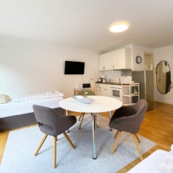 FR10 FR010a Monteurzimmer Kelkheim (12)