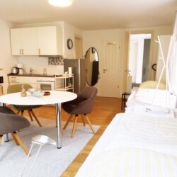FR10 FR010a Monteurzimmer Kelkheim (3)