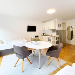FR10 FR010a Monteurzimmer Kelkheim (5)