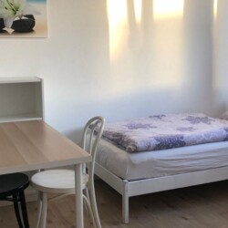 HAN38 HAN46 Monteurzimmer Laatzen (2)