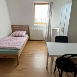 HAN38 HAN46 Monteurzimmer Laatzen (6)