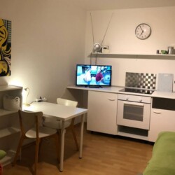 HAN39 HAN41 Monteurzimmer Laatzen (17)