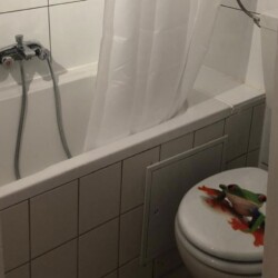 HAN39 HAN41 Monteurzimmer Laatzen (20)