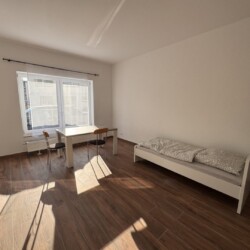 L33 L34 Monteurzimmer Leverkusen (1)
