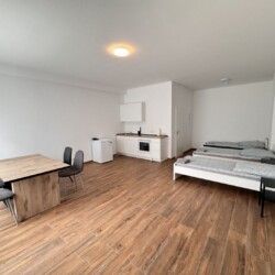 L35 L36 Monteurzimmer Leverkusen (3)