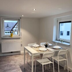 LB01a Monteurzimmer Ludwigsburg (15)