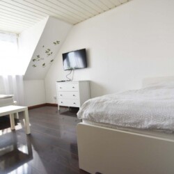 N01 N02 Monteurzimmer Niederkassel (14)
