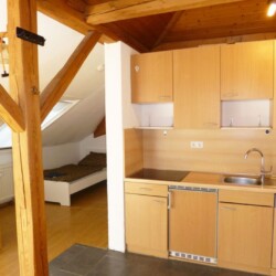 NU02a NU02b Monteurzimmer Vohringen (14)