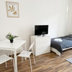 OF19 OF21 Monteurzimmer Offenbach (8)