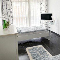 T12c T12d Monteurzimmer Troisdorf (6)