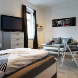 ZW01 ZW01a Monteurzimmer Zwickau (17)