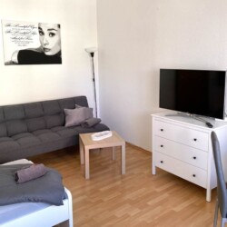 ZW01b ZW01c Monteurzimmer Zwickau (4)