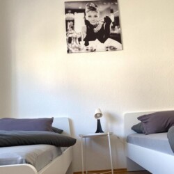 ZW01b ZW01c Monteurzimmer Zwickau (5)