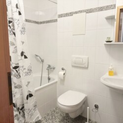 ZW02a ZW02b Monteurzimmer Zwickau (14)
