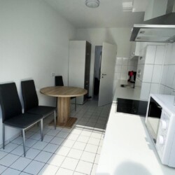 DU16 Monteurwohnung Duisburg (2)