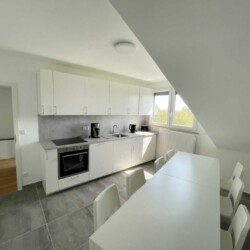 FB03 Monteurzimmer Rosbach (4)