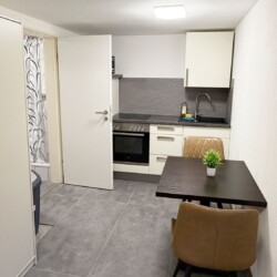 FR13 Monteurzimmer Egelsbach (6)