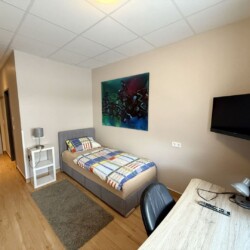 HAN03 Monteurzimmer Laatzen (3)