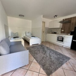 K101 Monteurzimmer Nüssenberger Hof (3)