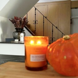 L12b Monteurzimmer Leverkusen (3)