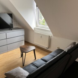 MEI06 Monteurzimmer Coswig (15)