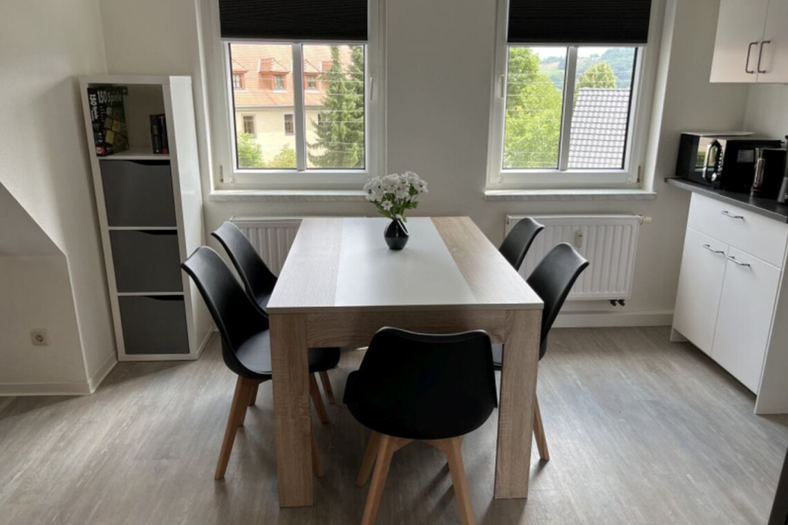 MEI06 Monteurzimmer Coswig (2)