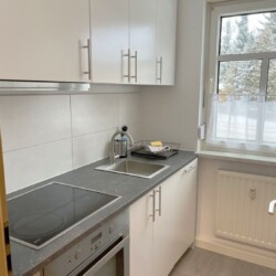 MEI07 Monteurzimmer Coswig (2)