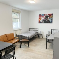 MEI07 Monteurzimmer Coswig (4)