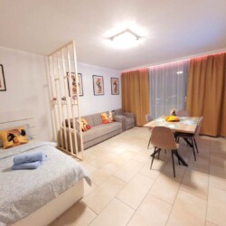 MH03b Monteurzimmer Mülheim (9)