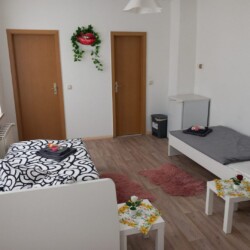 SBK02 Monteurwohnung Schönebeck (5)