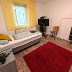 PF02 Monteurwohnung Niefern Öschelbronn (12)