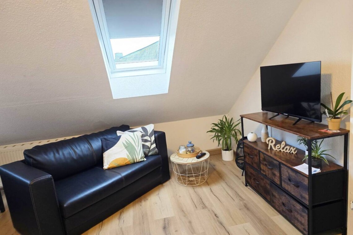 STL01 Monteurwohnung Niederwürschnitz (3)