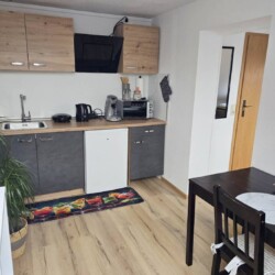 STL01 Monteurwohnung Niederwürschnitz (7)