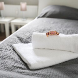 UN03 Monteurwohnung Schwerte (4)