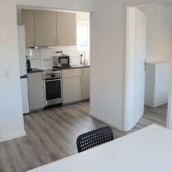 WU22d Monteurzimmer Wuppertal (11)