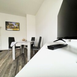 ZW02b Monteurwohnung Zwickau (10)