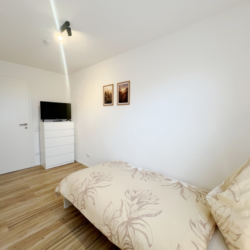 WER01 (19)