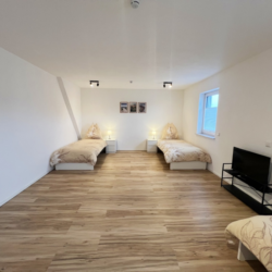 WER01 (25)